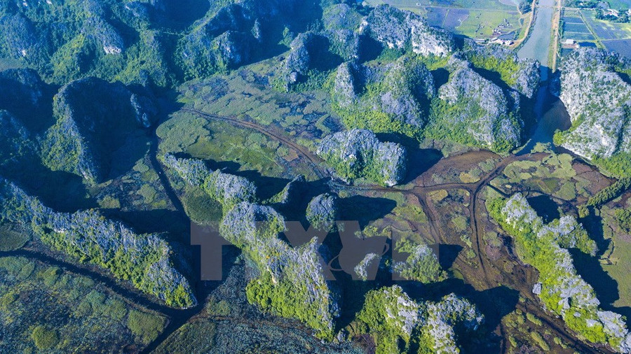 Hiện khu bảo tồn thiên nhiên Vân Long được chính phủ Hà Lan, Quỹ Môi trường Toàn cầu (GEF) và Trung tâm Cứu hộ Linh trưởng quý hiếm Cúc Phương hỗ trợ việc bảo tồn các loài thú quý hiếm.