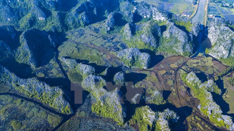 Hiện khu bảo tồn thiên nhiên Vân Long được chính phủ Hà Lan, Quỹ Môi trường Toàn cầu (GEF) và Trung tâm Cứu hộ Linh trưởng quý hiếm Cúc Phương hỗ trợ việc bảo tồn các loài thú quý hiếm.