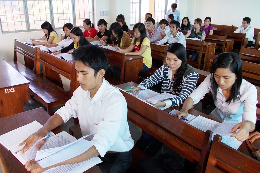 Trí thức trẻ tham gia Đề án 03 của tỉnh. Ảnh: T.N
