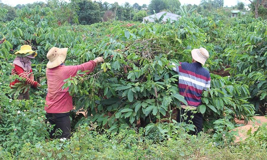 Ảnh: Nguyễn Diệp