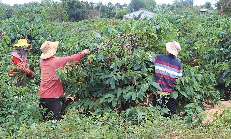 Ảnh: Nguyễn Diệp