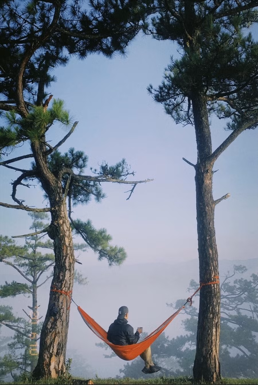 Các điểm cắm trại, dã ngoại nổi tiếng ở Đà Lạt và vùng phụ cận như: Cầu Đất, đồi Đa Phú, hồ Suối Vàng... Ảnh: Phương Nhiên