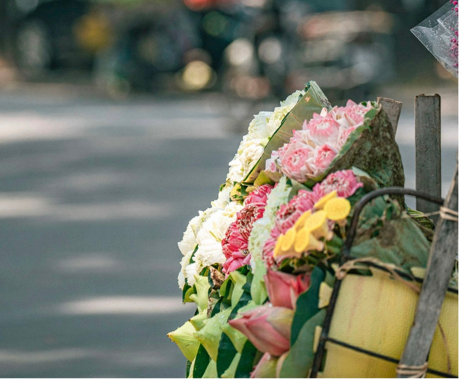 "...Em nghe chăng, trong lắng sâu nơi hồng trái tim mình - Hà Nội mùa thu, ôi xao xuyến trong lòng ta...". Mùa thu Hà Nội luôn là nguồn cảm hứng bất tận cho những sáng tác của người nghệ sĩ. Ảnh: Bùi Ngọc Công