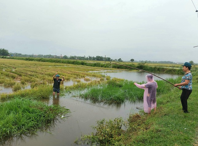 Người dân xã Vượng Lộc giăng lưới bắt cá mùa mưa lũ