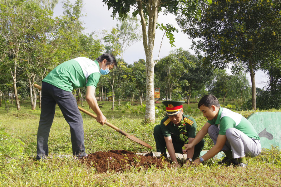 Sư đoàn 320 triển khai việc trồng 4.000 cây xanh