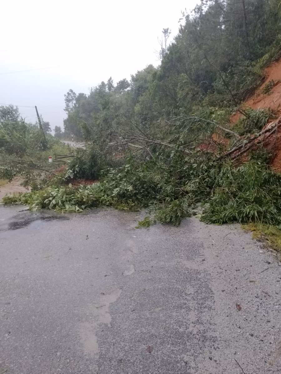 Cây đổ chắn ngang đường tại đoạn qua thôn Mô Pả (xã Đăk Hà, huyện Tu Mơ Rông). Ảnh: CTV
