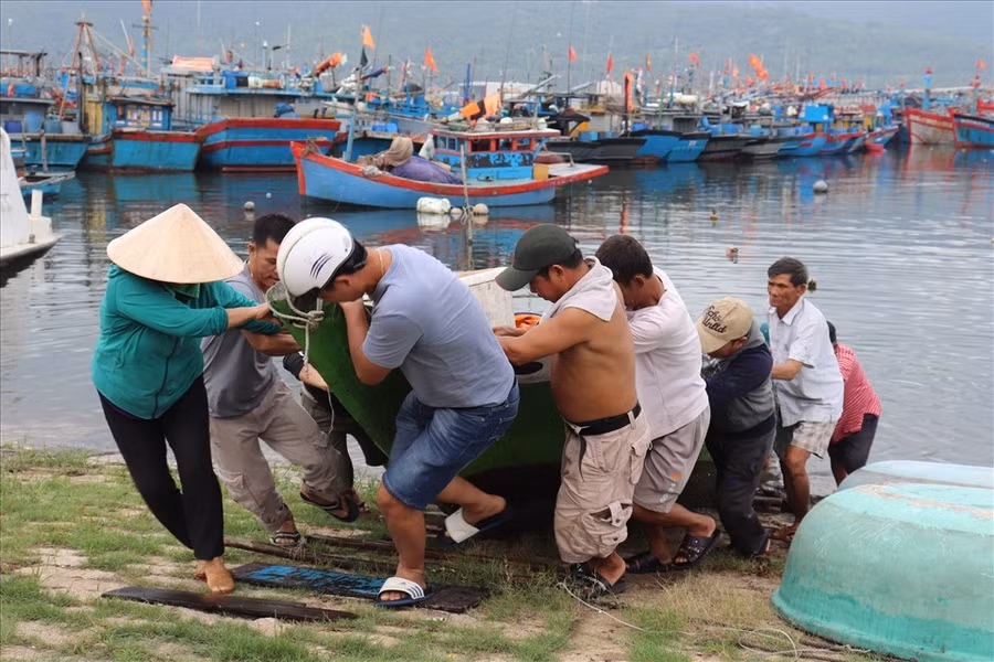 Triệt để đưa tàu thuyền lên bờ, neo đậu an toàn để chống bão. Ảnh: Nguyễn Linh