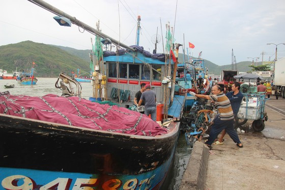  Neo buộc tàu thuyền tránh trú bão an toàn