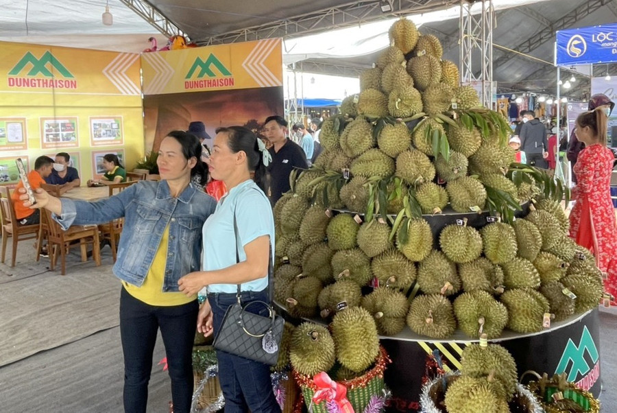 Nhiều du khách các tỉnh thành trong cả nước đã kéo về huyện Krông Pắk để tham quan, vui chơi lễ hội sầu riêng. 