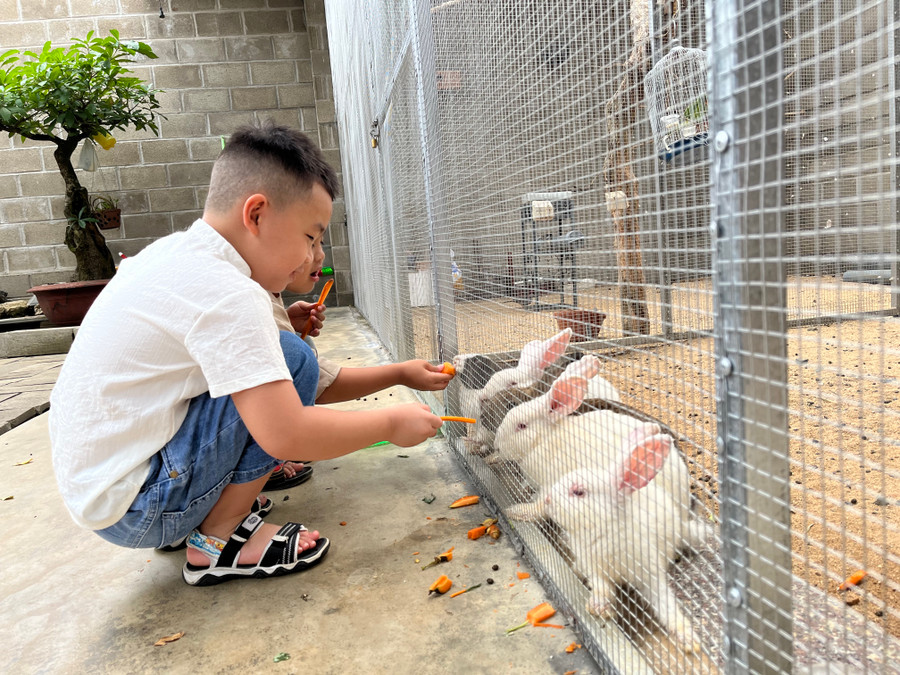 9. Quán cà phê Bonsai (đường Lý Thái Tổ, TP. Pleiku) với không gian thoáng mát, có nhiều thú cưng là điểm vui chơi khá thú vị dành cho các gia đình có con nhỏ. Ảnh: Phương Vi