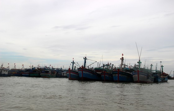  Cảng cá Quy Nhơn có sức chứa trên 600 tàu cá là cảng an toàn nhất khu vực Nam Trung Bộ để tránh trú bão