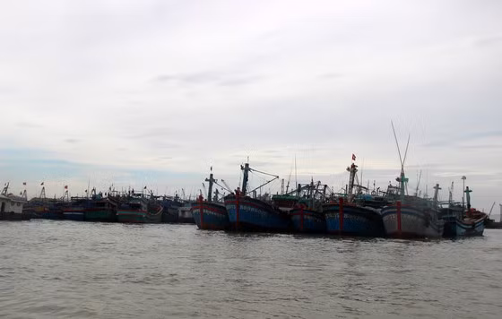  Cảng cá Quy Nhơn có sức chứa trên 600 tàu cá là cảng an toàn nhất khu vực Nam Trung Bộ để tránh trú bão