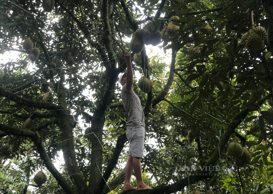 Trước việc bị 