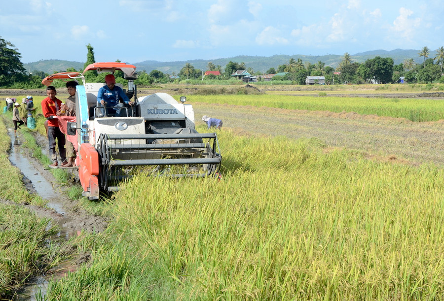 Chính phủ yêu cầu hạn chế chuyển đổi đất nông nghiệp sang đất phi nông nghiệp. Ảnh: Đức Phương
