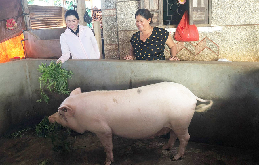 Chị H'Bun (bìa phải, làng Khưn, phường Trà Bá, TP. Pleiku) dự định dùng số tiền tiết kiệm để đầu tư làm hệ thống hầm biogas. Ảnh: Anh Huy Chị HBun (bìa phải, làng Khưn, phường Trà Bá, TP. Pleiku) dự định dùng số tiền tiết kiệm để đầu tư làm hệ thống hầm biogas. Ảnh: Anh Huy