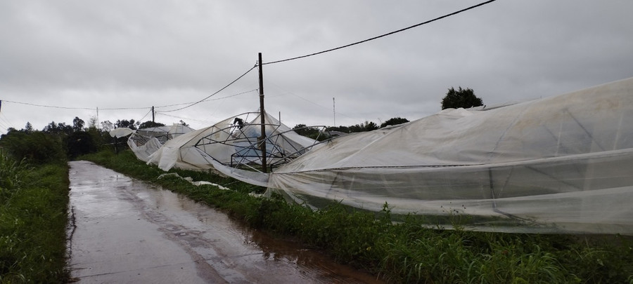 Nhà lồng gần 700 m2 bị cuốn sập tại xã An Phú (TP. Pleiku). Ảnh: Bá BÍnh