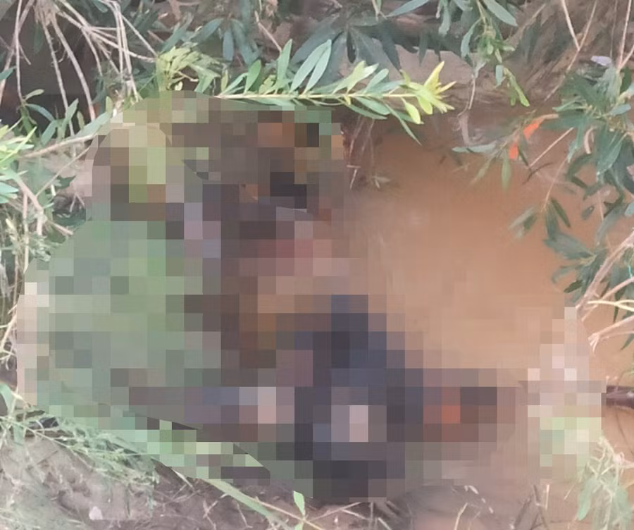 Hiện trường nơi phát hiện thi thể. Ảnh: Lê Anh