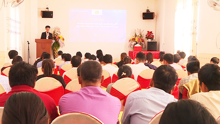 Quang cảnh lớp tập huấn. Ảnh: Phương Lộc Quang cảnh lớp tập huấn. Ảnh: Phương Lộc