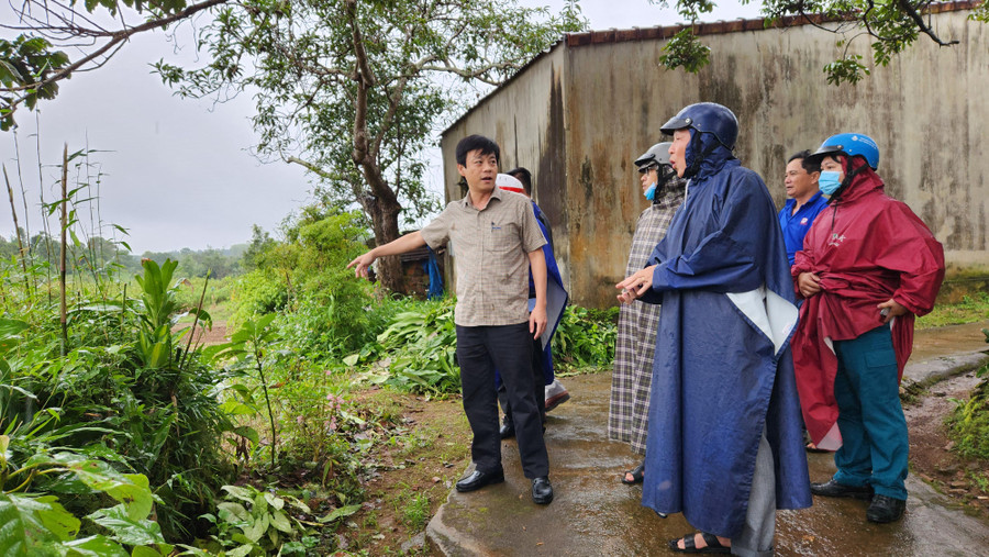 Chủ tịch UBND TP. Pleiku Đỗ Việt Hưng kiểm tra khu vực thường xuyên bị ngập úng hoa màu vào mùa mưa tại tổ 8 (phường Ia Kring, TP. Pleiku). Ảnh: Bá Bính