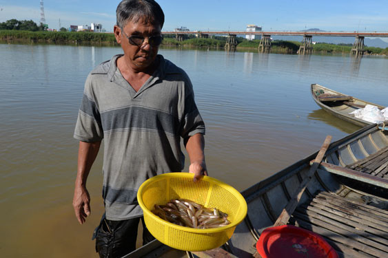 Ông Nguyễn Văn Định sau hơn 2 giờ đổ ống bắt cá bống sông Trà Khúc Ông Nguyễn Văn Định sau hơn 2 giờ đổ ống bắt cá bống sông Trà Khúc