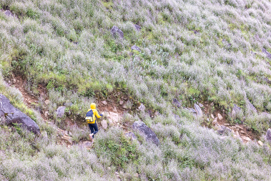 Ảnh: Nguyễn Anh Chiêm