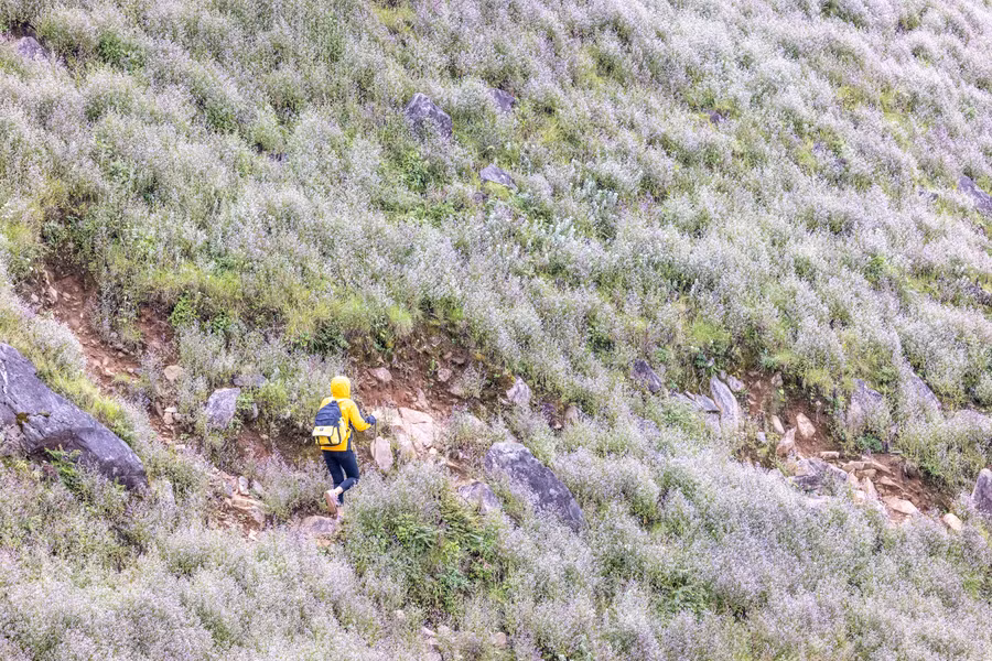 Ảnh: Nguyễn Anh Chiêm