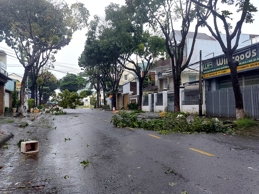 Cây xanh bị gãy đổ trên đường Tăng Bạt Hổ (TP. Pleiku). Ảnh: Nguyễn Tú