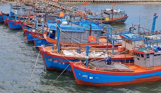 Cơ quan chức năng đang làm rõ việc tàu cá bị chìm, 9 ngư dân rơi xuống biển (Ảnh minh họa)