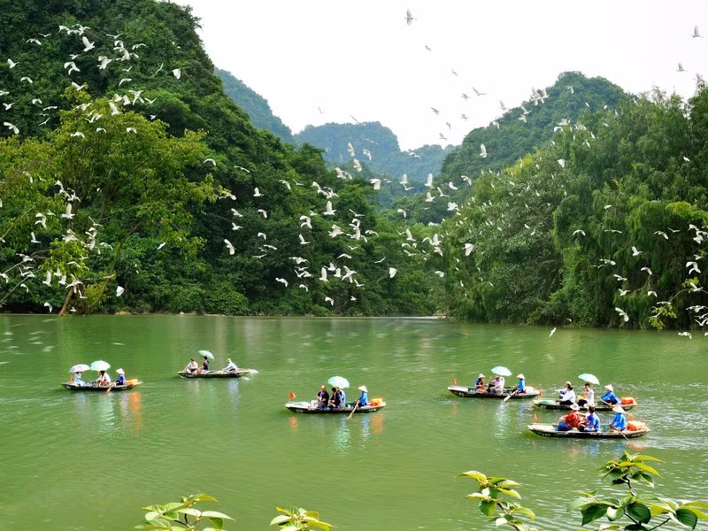 Ảnh minh họa: Du khách tham quan Khu bảo tồn vườn chim Thung Nham. Ảnh: @thungnhamecotourismzone