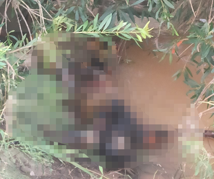 Hiện trường nơi phát hiện thi thể. Ảnh Lê Anh