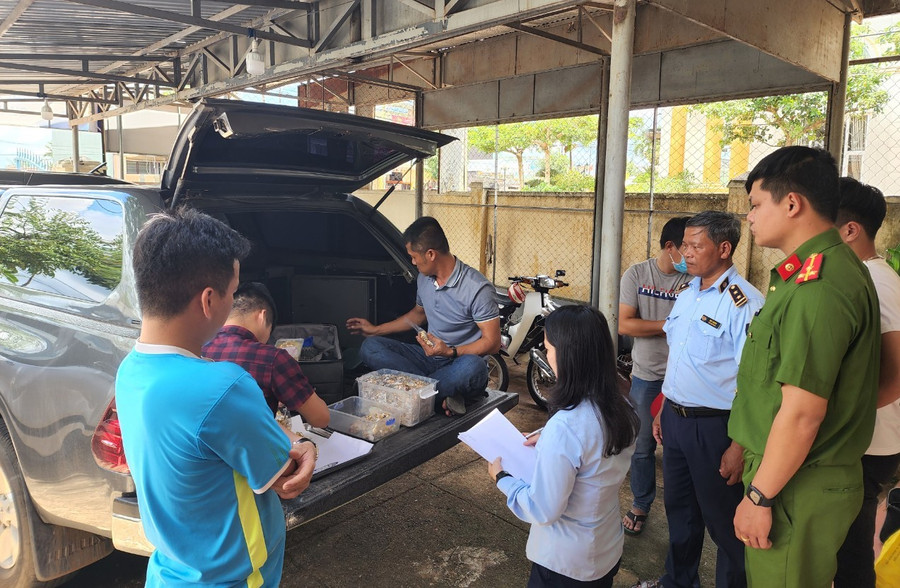 Lực lượng chức năng kiểm đếm tang vật. Ảnh nguồn tapchicongthuong.vn Lực lượng chức năng kiểm đếm tang vật. Ảnh nguồn tapchicongthuong.vn