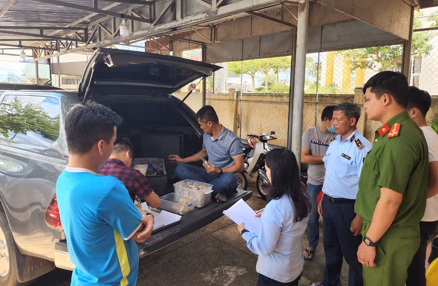 Lực lượng chức năng kiểm đếm tang vật. Ảnh nguồn tapchicongthuong.vn