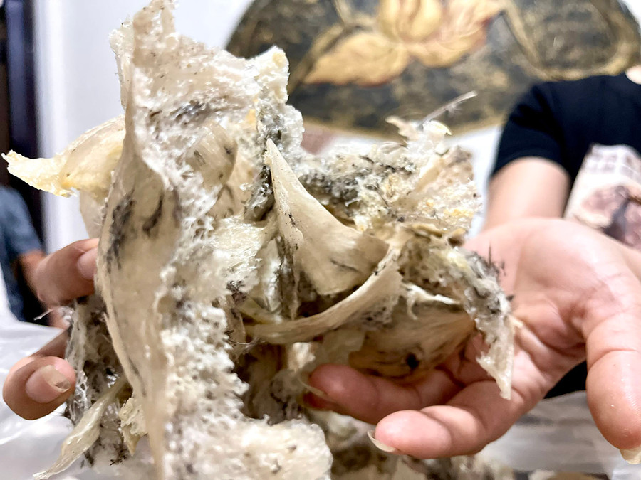 2 Hiện giá 1kg tổ chim yến thô khoảng 18 đến 20 triệu đồng