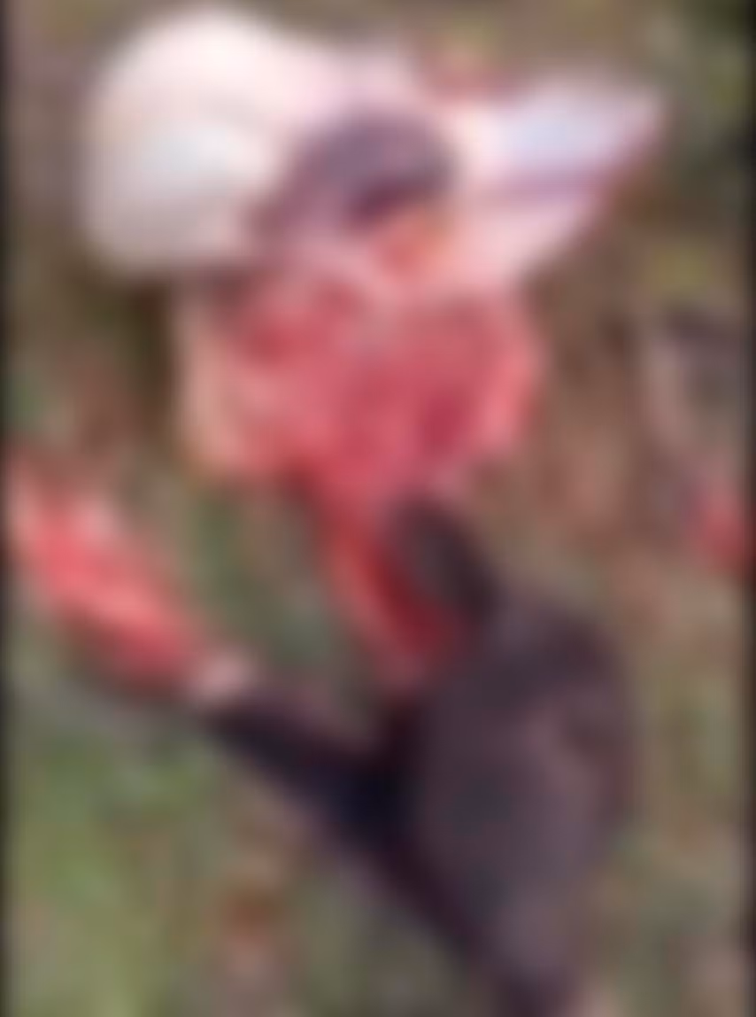 Con bò của ông Đinh Bder, trú tại xã An Trung bị kẻ gian trộm cắp xẻ thịt. Ảnh: Lê Anh