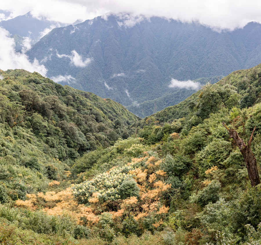 Đến 16h, cả đoàn tới vị trí lán nghỉ ở độ cao 2.400m.