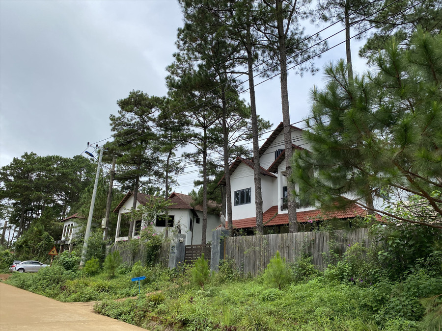  Một góc thị trấn Măng Đen, nơi có nhiều biệt thự ẩn khuất dưới rừng thông xanh. Ảnh T.T