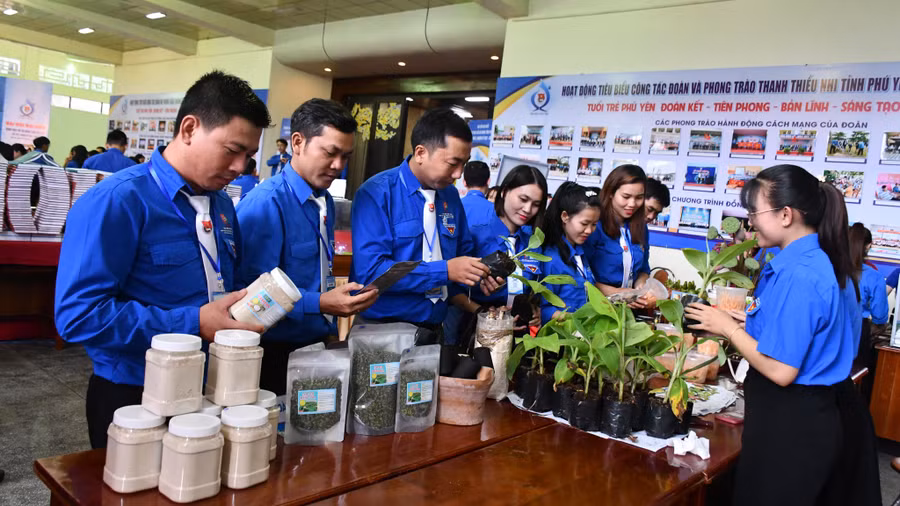 Đại biểu tham quan gian hàng trưng bày sản phẩm do thanh niên lập nghiệp sản xuất. Ảnh: Bảo Kính