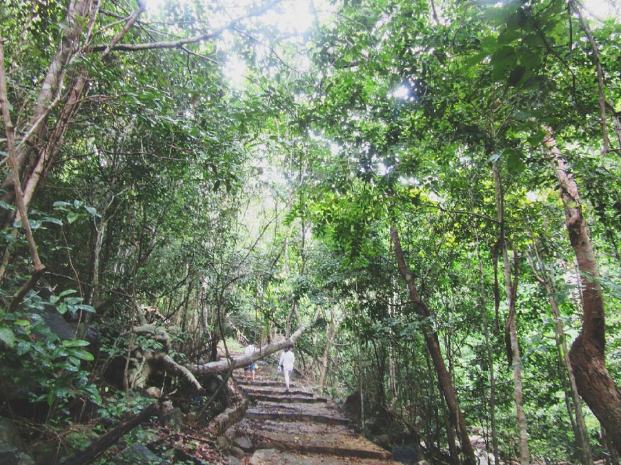 Vườn quốc gia Côn Đảo. Ảnh: Tripzone