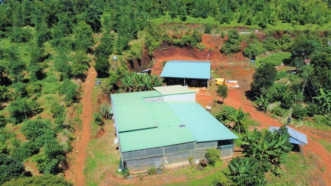 Phần đất được cấp 