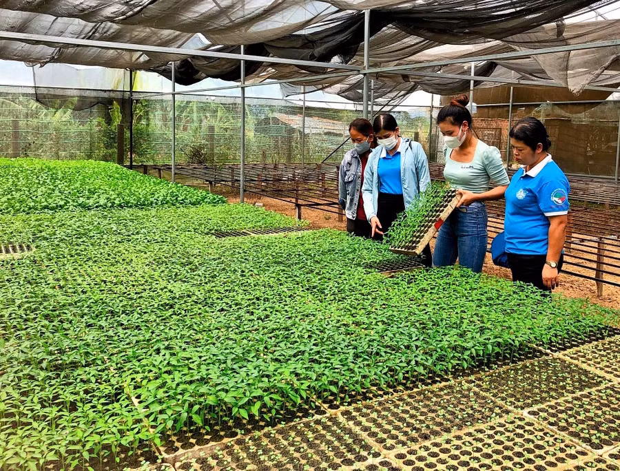 Tham quan mô hình khởi nghiệp của phụ nữ. Ảnh Minh Châu