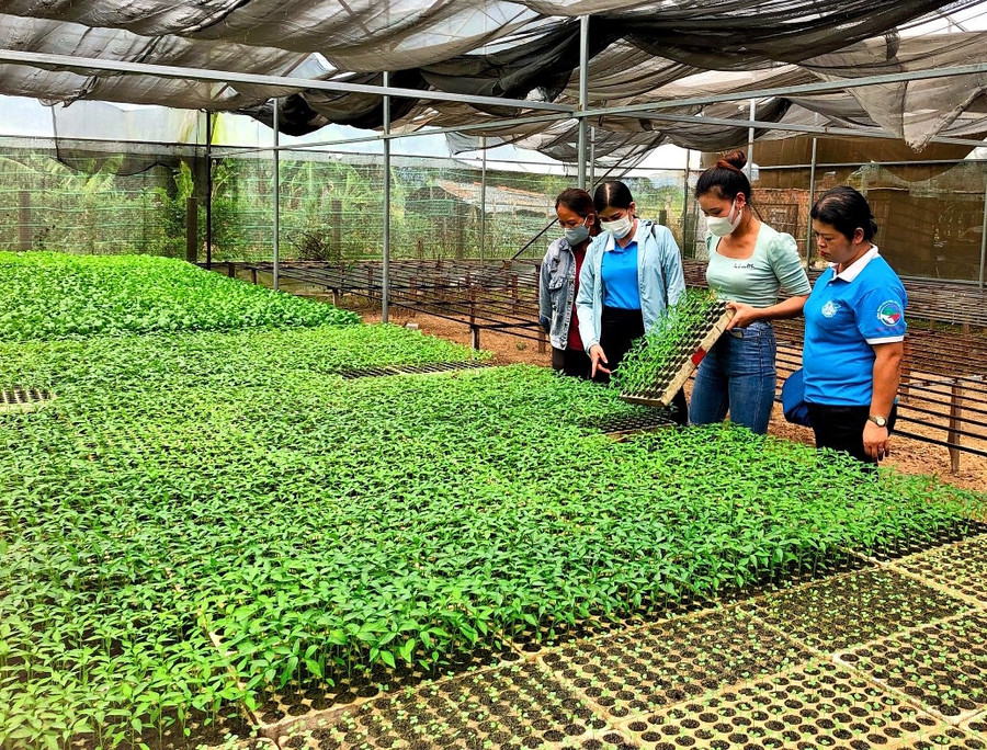 Tham quan mô hình khởi nghiệp của phụ nữ. Ảnh Minh Châu