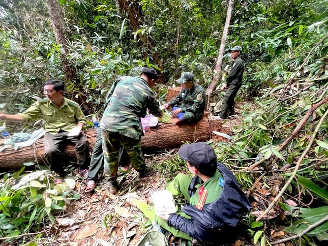 Hiện trường vụ khai thác lâm sản
