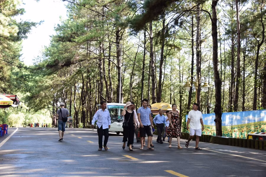 8. Ngay từ sáng 1-9, đông đảo du khách cũng đã đến thưởng ngoạn cảnh đẹp tại khu du lịch sinh thái Biển Hồ (TP. Pleiku). Ảnh: Đức Thụy