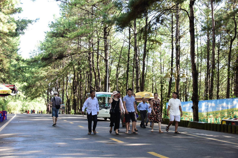 8. Ngay từ sáng 1-9, đông đảo du khách cũng đã đến thưởng ngoạn cảnh đẹp tại khu du lịch sinh thái Biển Hồ (TP. Pleiku). Ảnh: Đức Thụy