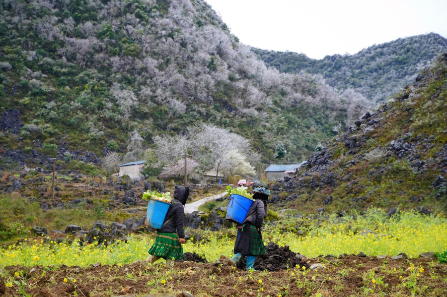 Khung cảnh núi non hùng vĩ ở Hà Giang. Ảnh: Trung Hiếu Khung cảnh núi non hùng vĩ ở Hà Giang. Ảnh: Trung Hiếu