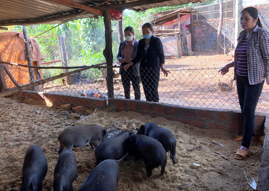 Tham gia tổ hội nghề nghiệp, chị Lê Thị Thu (bìa phải, thị trấn Chư Prông) tích lũy nhiều kiến thức trong chăn nuôi heo rừng lai. Ảnh: Anh Huy