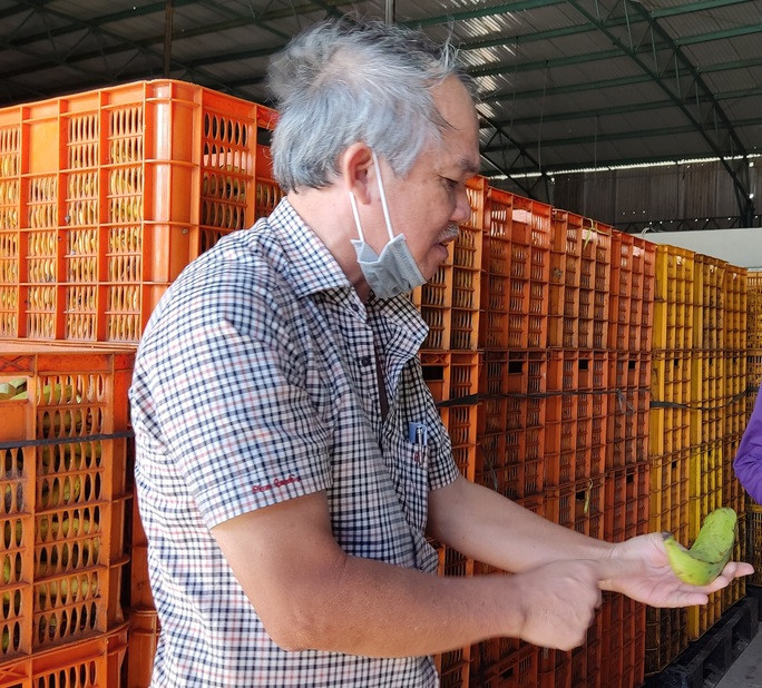 Bầu Đức giới thiệu kho chuối loại dành cho heo Bầu Đức giới thiệu kho chuối loại dành cho heo