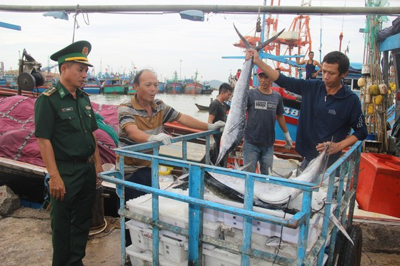  Ngư dân tranh thủ bán hải sản chạy bão