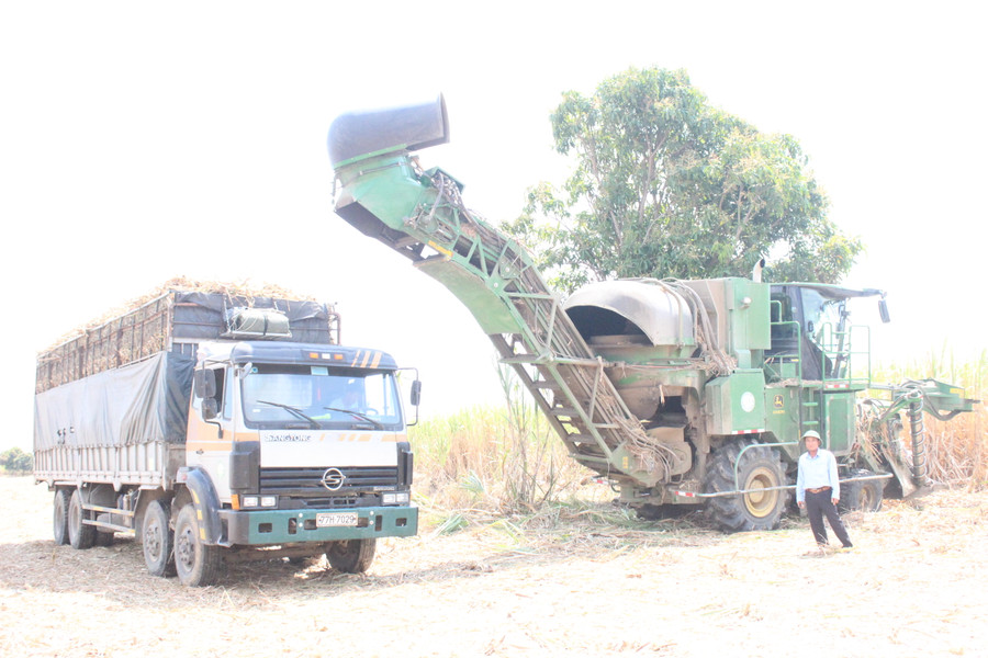 HTX Nông nghiệp Tân Tiến cơ giới hóa trong khâu thu hoạch mía. Ảnh: Nguyễn Diệp