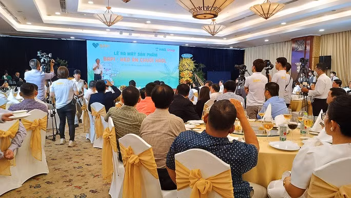 Bầu Đức chia sẻ về mô hình "heo ăn chuối" tối 17-9. Bầu Đức chia sẻ về mô hình